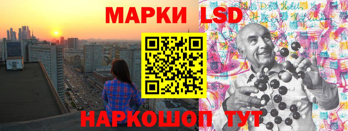 что такое наркотик  Вход с VPN  Марки NBOMe 1500мкг  Новоалександровск  Марки NBOMe 1500мкг  Марки N-bome 
